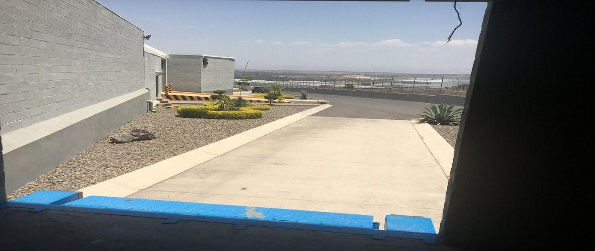 Foto de nave industrial en renta en  , castro del río [parque tecnoindustrial], irapuato, guanajuato, 0 No. 05